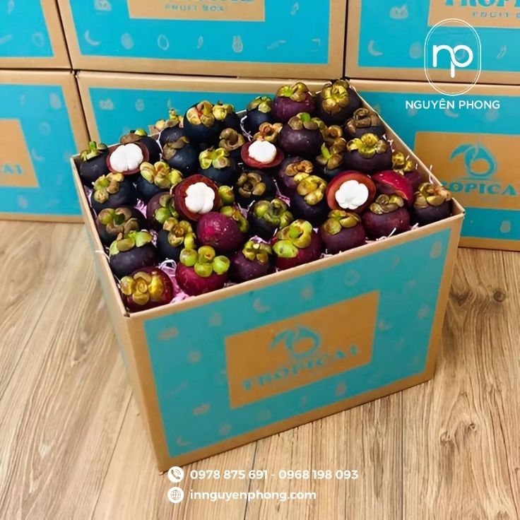 Mẫu thùng carton đựng măng cụt đơn giản